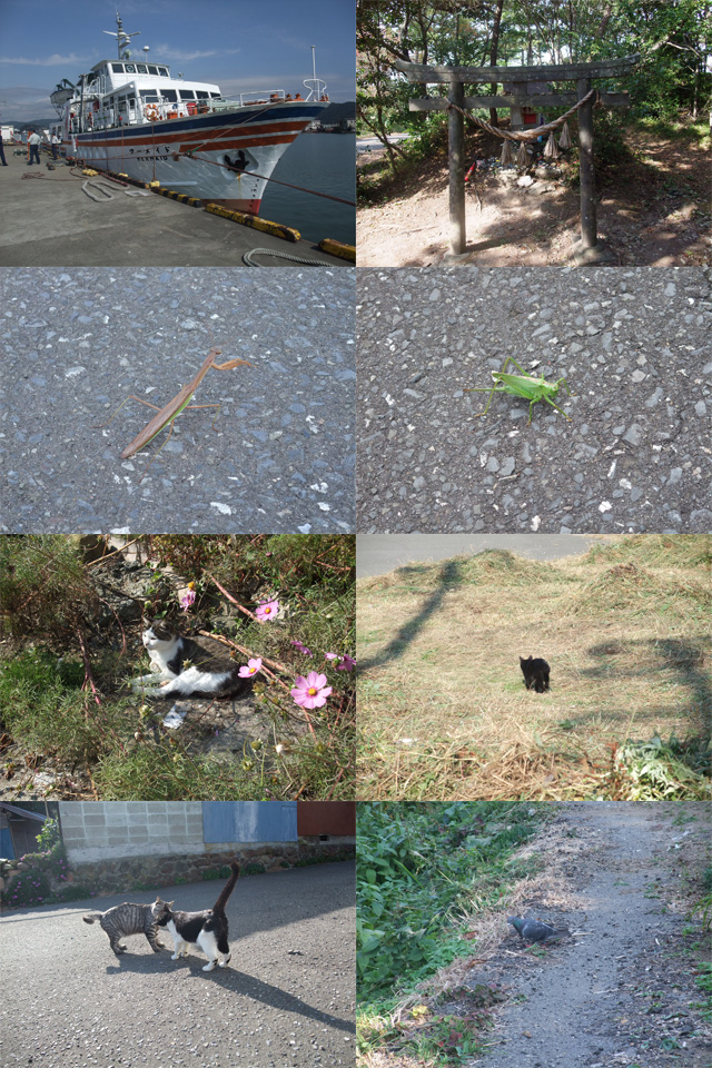 tashiro091018.jpg 640×960 384K