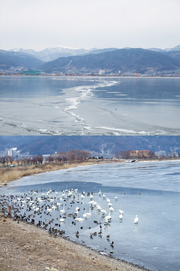 suwa120206.jpg 600900 198K